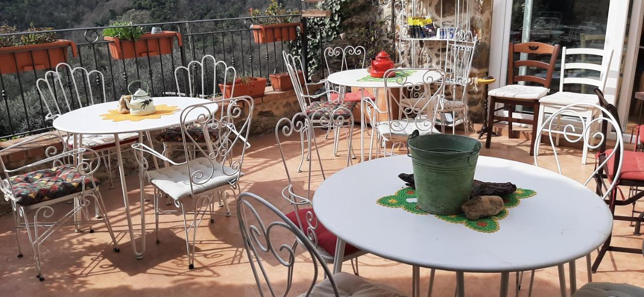 B&B L' Antica Macina Quiliano Exteriér fotografie