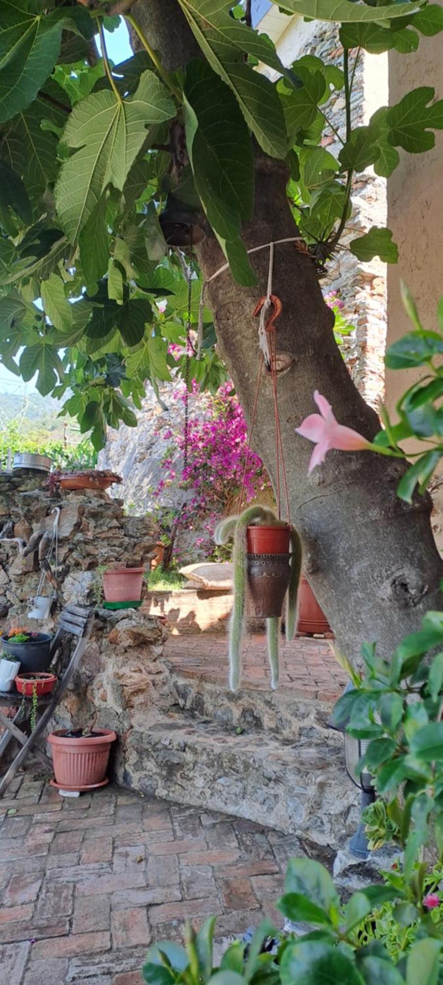 B&B L' Antica Macina Quiliano Exteriér fotografie