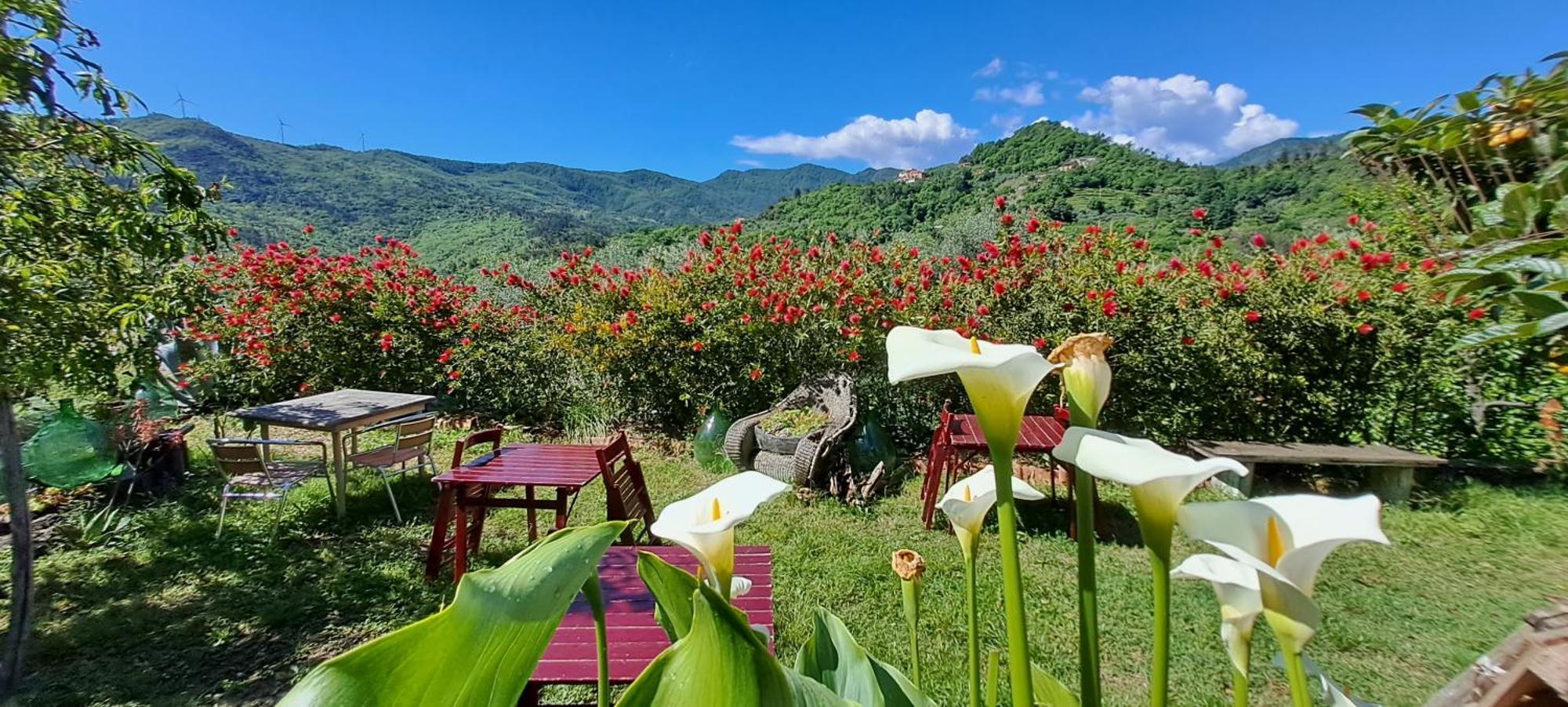 B&B L' Antica Macina Quiliano Exteriér fotografie